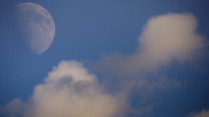 Lire la suite à propos de l’article Transformez le jour en clair de lune avec les modes de fusion de Photoshop